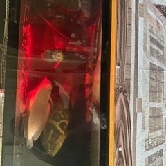 オスカー無料にします。