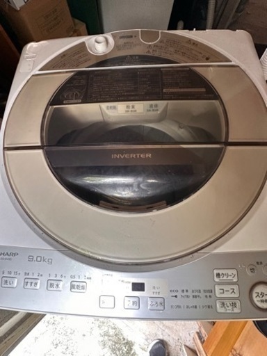 家電 生活家電 洗濯機