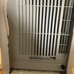 予定者決まりました