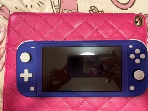 おもちゃ ポータブルゲーム ニンテンドーDS,3DS ニンテンドーDS：DSシリーズ本体 F003-000-000□任天堂 ニンテンドー