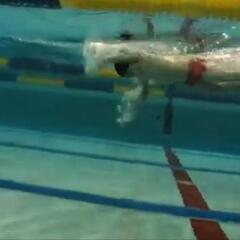 所定の人数に達したので募集を終了します。✅秋のスイムキャンプ✅　千葉　埼玉　東京　神奈川　水泳　レッスン