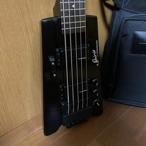 STEINBERGER XT-25 スタインバーガー ギグバック付き