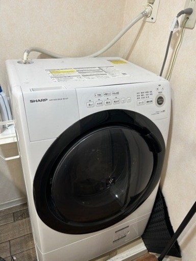 家電 生活家電 洗濯機