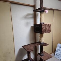 猫の遊びタワー