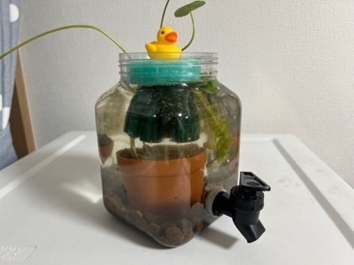 メダカ用ラクラク水換えミニビオトープ