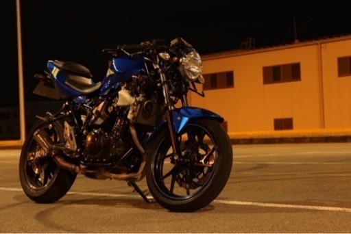 gsx250rネイキット仕様