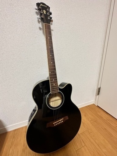 楽器 弦楽器、ギター