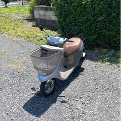 815. 動画あり スズキ レッツ4 バスケット 原付 バイク 50cc 車体 本体