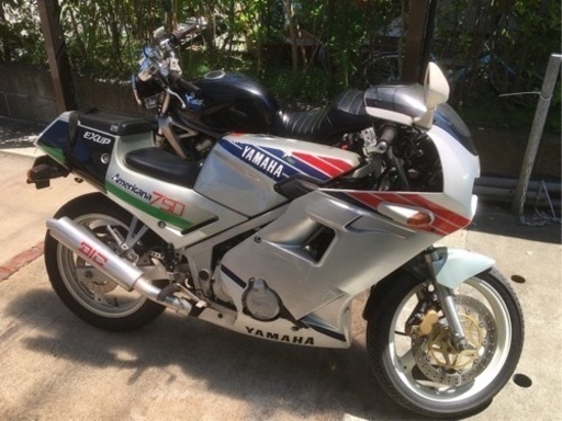 ＦＺＲ２５０　限定車\n