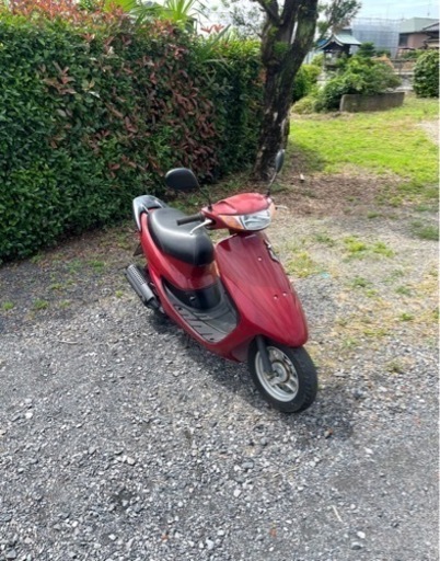 831. 動画あり ホンダ ライブディオZX仕様 原付 50cc 車体 バイク 埼玉