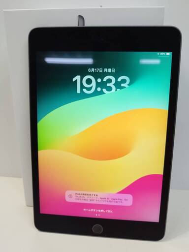 【Wi-Fiモデル】iPad mini 第5世代/256GB/A2133〈MUU32J/A〉