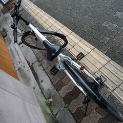 [BRIDGESTONE]SCHLEIN(シュライン)26吋 ジュニアスポーツバイク アルミ/7speed/オーロラホワイト