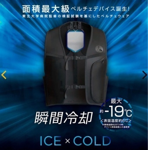 ワークマン　ペルチェベスト