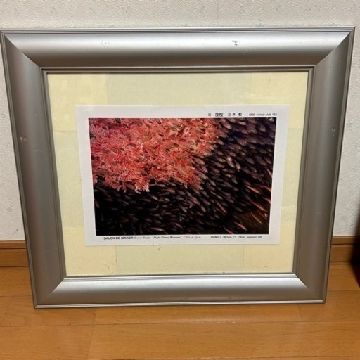 由木毅 作 夜桜