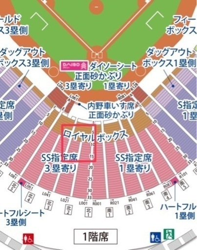 カープチケット　SS指定ペア　6月26日