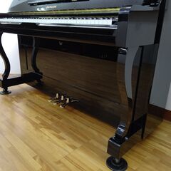 ディアパソン D-40BC 【ワケありですが良品】 内部調整/外装美装/調律済