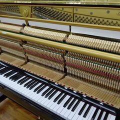 ディアパソン D-40BC 【ワケありですが良品】 内部調整/外装美装/調律済