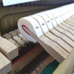 ディアパソン D-40BC 【ワケありですが良品】 内部調整/外装美装/調律済