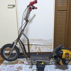 日本ライフ社 パワースケーター（4サイクル）