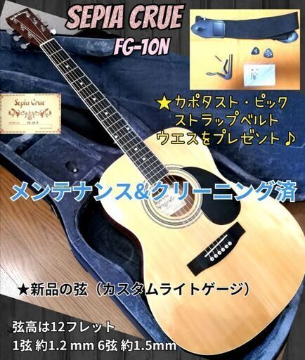 ◆新品同様◆コンパクトサイズ◆初心者にオススメ◆ Sepia Crue FG-10N ◆