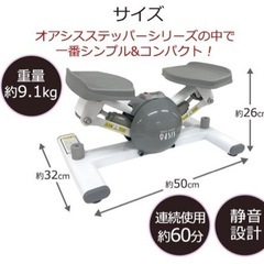 OASIS オアシス ツイストステッパー ブラック