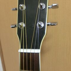 ❤️弦高調整済！「Sepia Crue セピアクルー カスタム F-250 黒」島村楽器