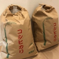 玄米10kg２袋(２０kg)