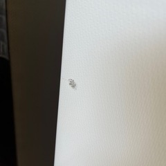 近隣送料無料!! 美品✨ SHARP 2ドア冷蔵庫 152L どっちもドア 2020年 SJ-D15G-W 家電 キッチン家電 冷蔵庫