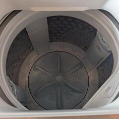 LOEWE Perfumes-TOSHIBA/2022年製品【電気洗濯機】7kg