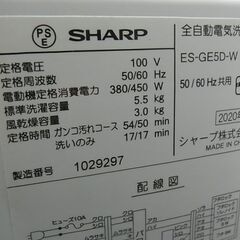 SHARP　シャープ　全自動電気洗濯機　ES-GE5D　5.5kg　2020年製　ステンレス槽　取説付き