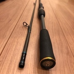 ダイワ　エメラルダス　EX AGS88L/M-SMT エギング