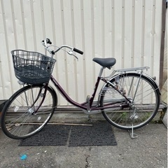 F1701 大人用自転車 