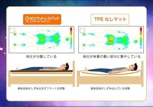 大野廣子、ニュートンのリンゴ 小石川植物園、希少な画集より