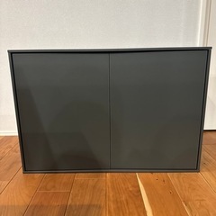 サンワカンパニー ピッタラ