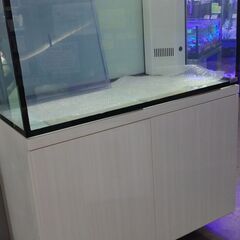 ガラスOF水槽4点セット No.186