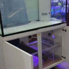 ガラスOF水槽4点セット No.186