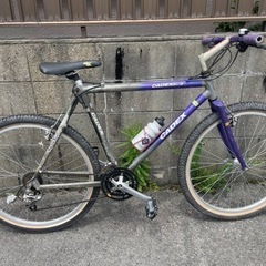 カーボンファイバー Giant Cadex CFM3 1992年