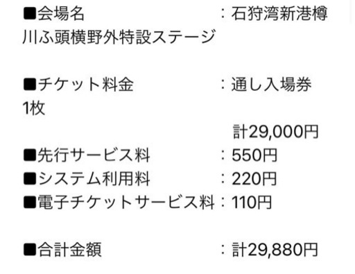 ※お譲り先確定※ライジングサンロックフェスティバル2024 通し入場券