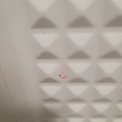 【業務用冷凍庫】シャープ　ノンフロン冷凍庫　FC-S20D-W　中古品