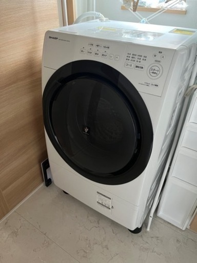 家電 生活家電 洗濯機