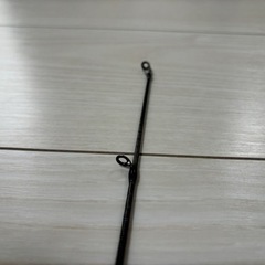 21ポイズングロリアス1610MH