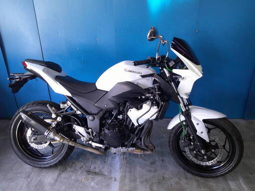 KAWASAKI Z250 白 自賠責保険で乗れます 半額配送キャンペーン 期間