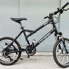 自転車ミニベロMTBルイガノLGS-MV5
