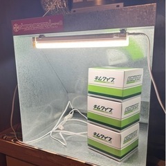 6/30まで4万円に値下げ中】【オマケ多数】ネロブースmini