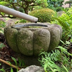 お話中　つくばい