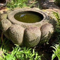 お話中　つくばい