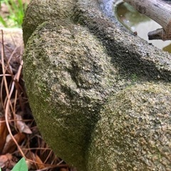 お話中　つくばい