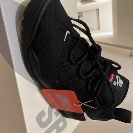 Supreme × Nike SB Darwin Low Black 26.5