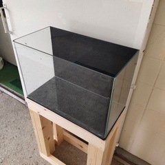 60センチ規格水槽&水槽台