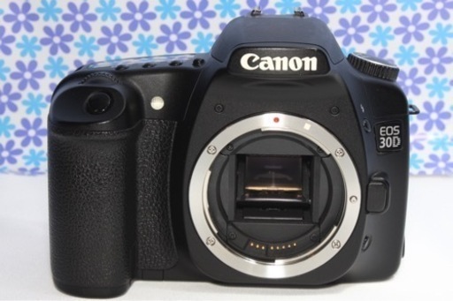 極美品★Canon EOS 30D★高画質★コンパクト★すぐ使える★